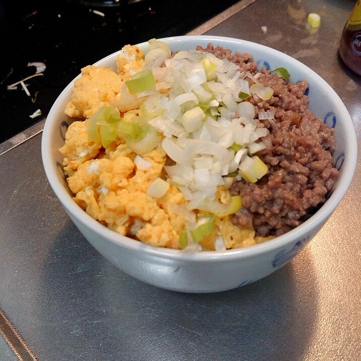 豚ひき肉と卵の2色そぼろ丼